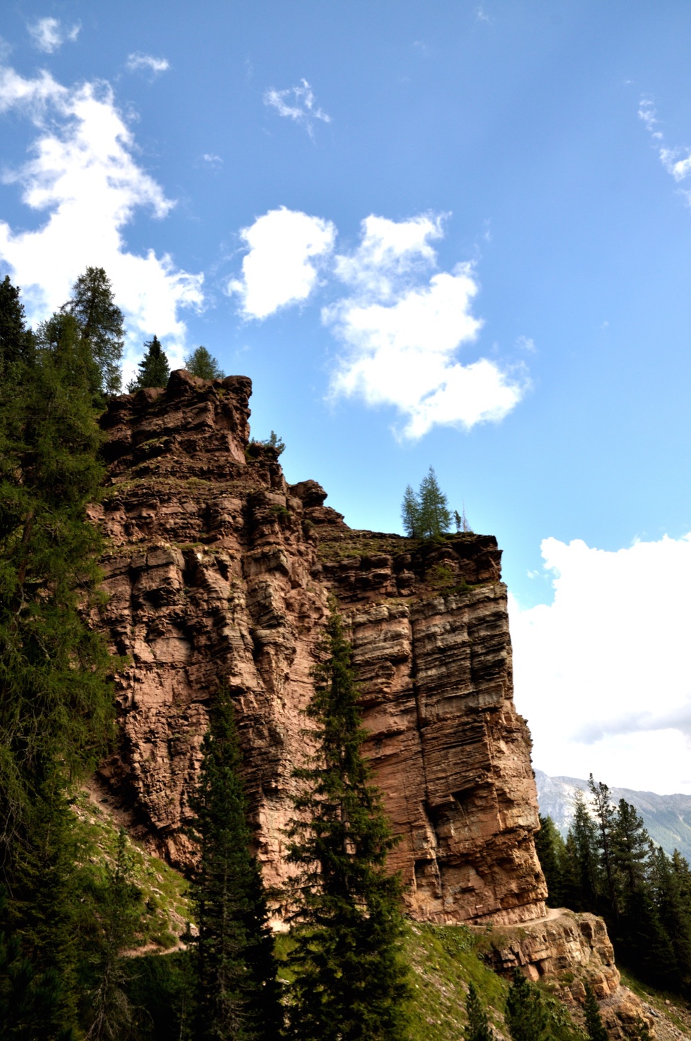 A layered red rock face above pine trees under a blue sky